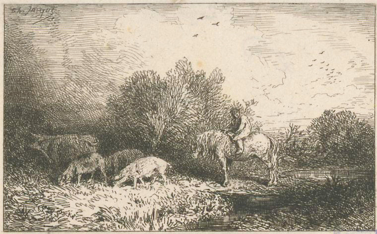 Paysage et animaux.
