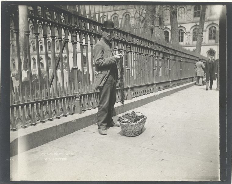 Peddler, shoe strings.