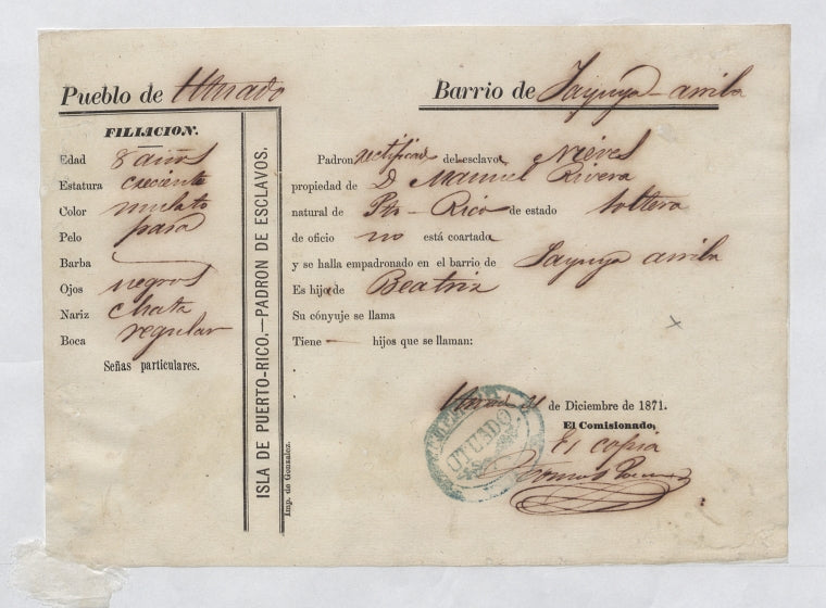 Padron de Esclavos: Nieves