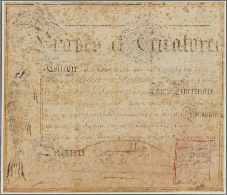 Document