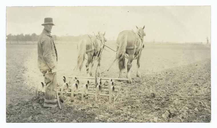 The Spring-Tooth Harrow.