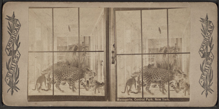 Menagerie, Central Park, New York.