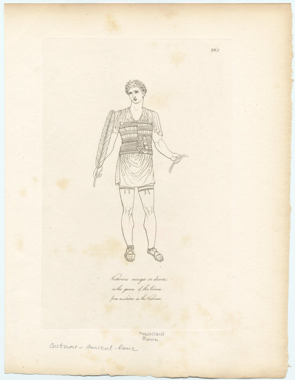 Victorious auriga or driver in the games of the Circus