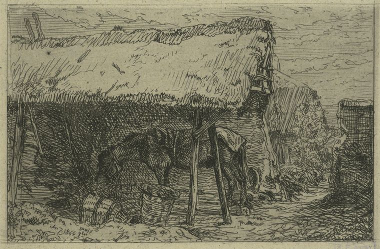Cheval sous un hangar.