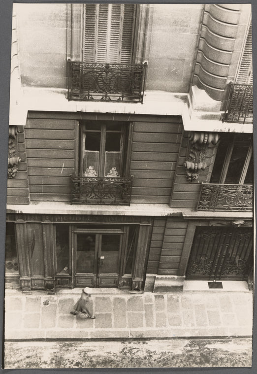 13 Rue Gu?n?gaud.
