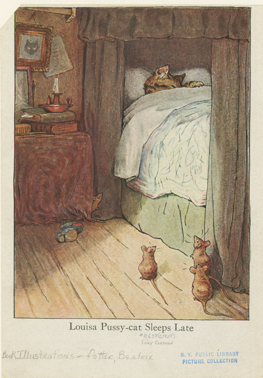Louisa Pussy-cat sleeps late.