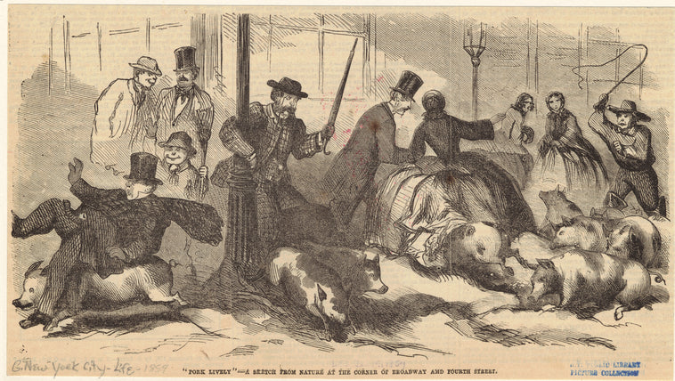"Pork lively" - a sketch from nature at the corner of Broadway and Fourth Street