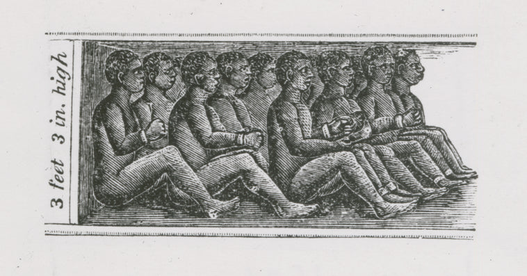 View of chained African slaves in cargo hold of slave ship, measuring three feet and three inches high
