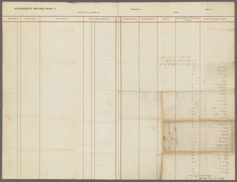 Punishment record books of Friendship Plantation