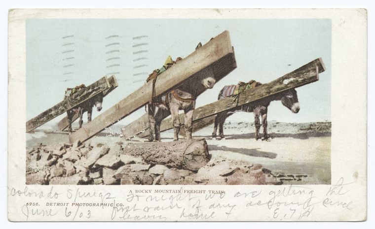 A Rocky Mountain Freight Train, Burro