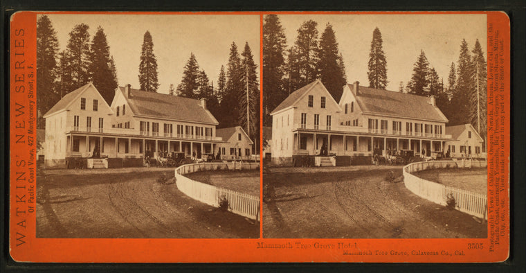 Mammoth Tree Grove Hotel, Mammoth Grove, Calaveras Co., Cal.