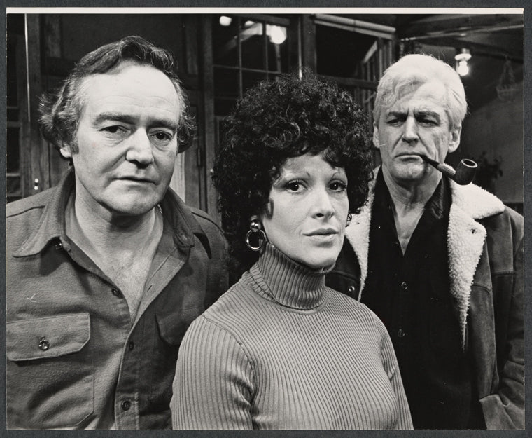 Arthur Storch, Linda Lavin and Addison Powell in the stage production ...