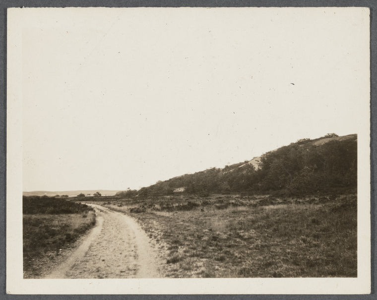 View of road from Hither Woods to Montauk Station looking west. Montauk, East Hampton