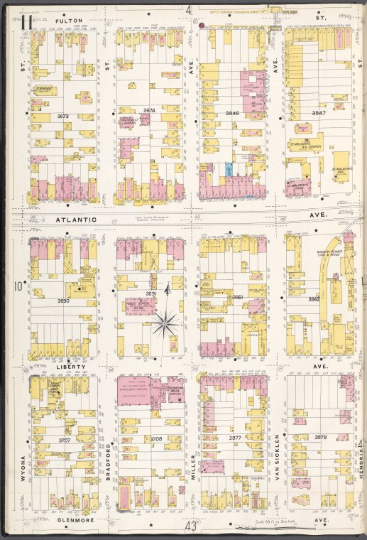Brooklyn V. 8, Plate No. 11 [Map bounded by Fulton St., Hendrix St., Glenmore Ave., Wyona St.]