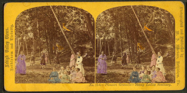 Pleasure grounds, Young Ladies Seminary.