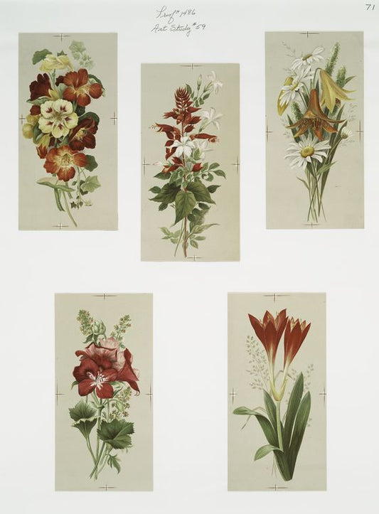 Art study with depictions of flowers.