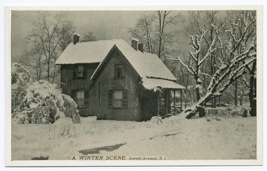 A Winter Scene, Jewett Avenue, Staten Island  [snow-covered house and landscape]