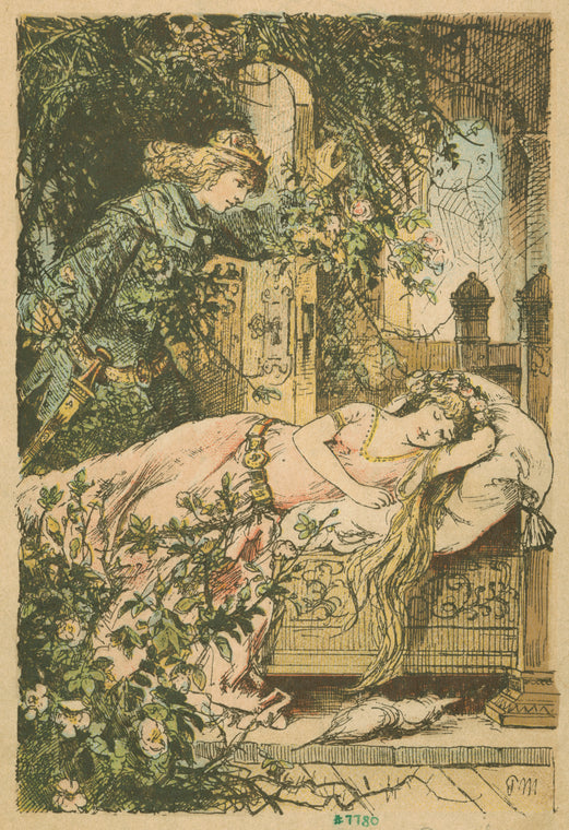 The prince sees Sleeping Beauty.