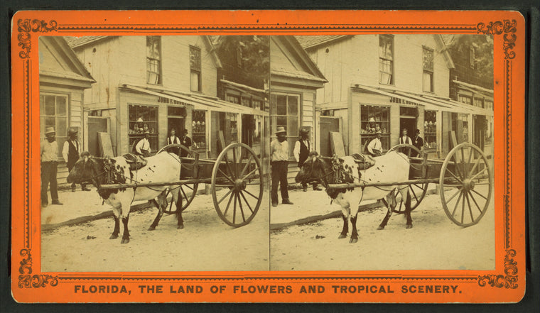 The Lightning Express, or, The Team of a Florida Cracker.