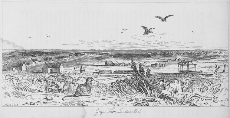 Griqua Town London M L.