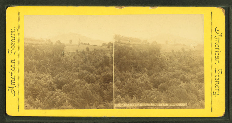 McCauley Mountain, Catawissa Creek.