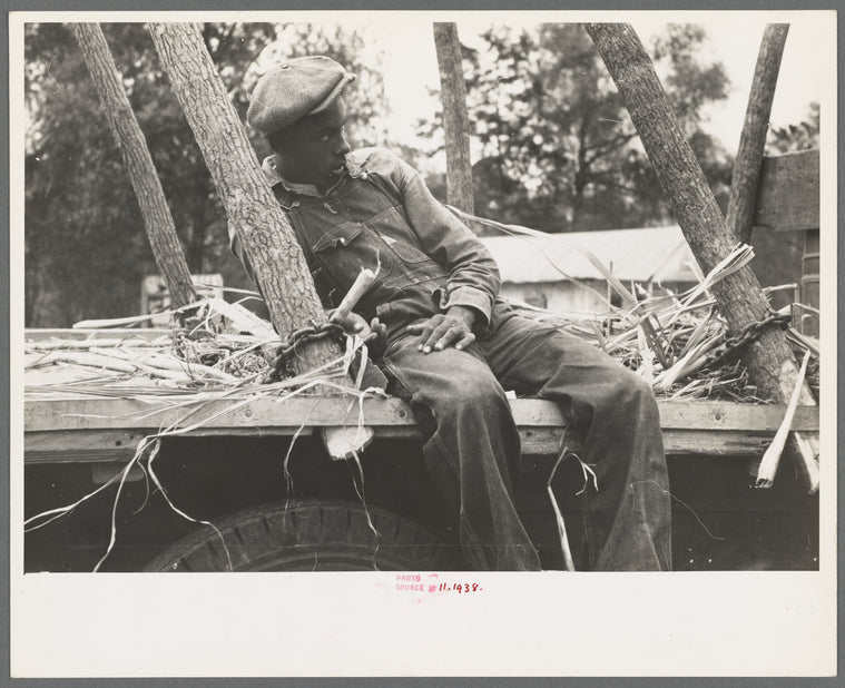 Negro boy sitting on sugarcane truck, Morganza, Louisiana