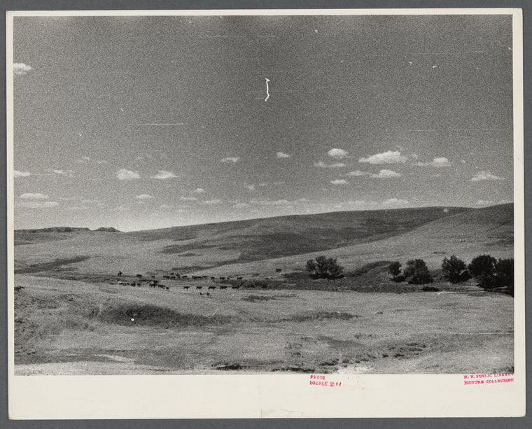 Landscape.
