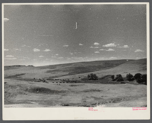 Landscape.