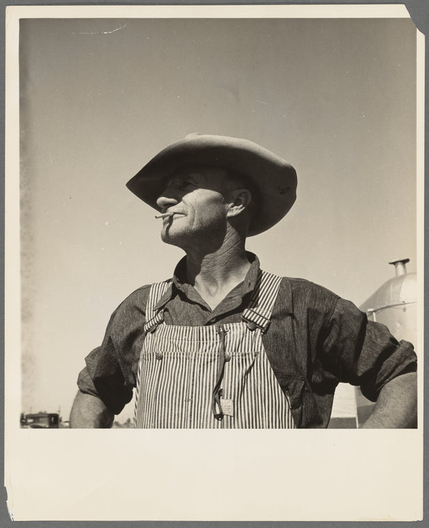 Nebraska farmer come to pick peas. Near Calipatria, California