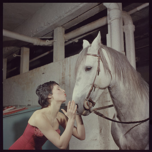 La Plume de Ma Tante, original Broadway production, cast posing with horse