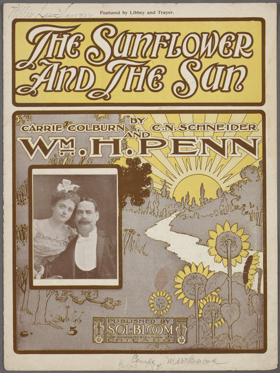 The sunflower and the sun