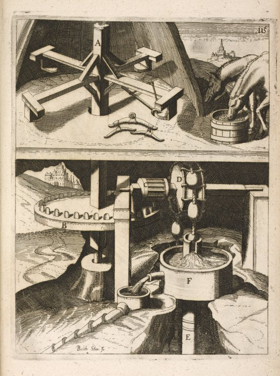 Fig. CXV. Haustrum simplex, per sphæras.