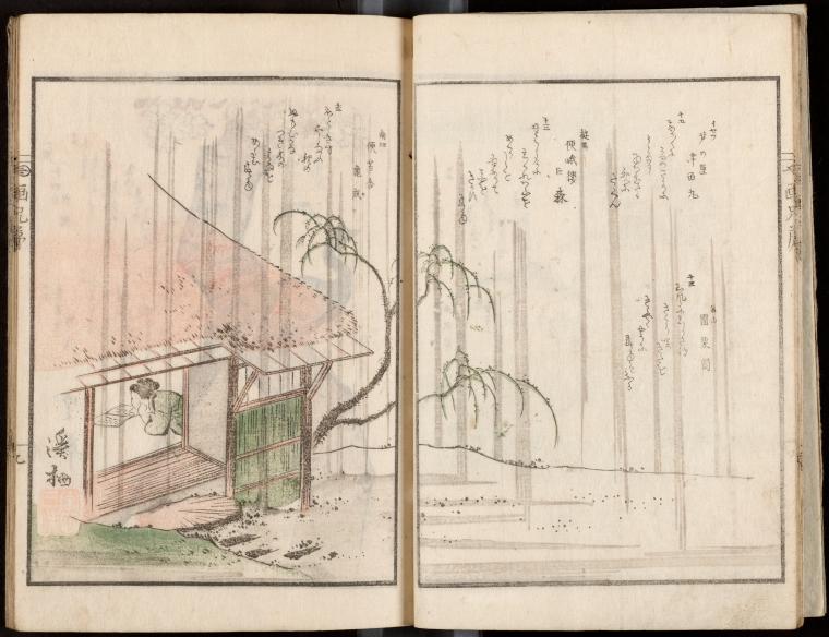 Woman reading