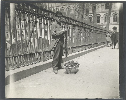 Peddler, shoe strings.