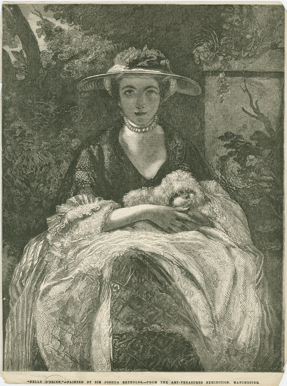 Miss Nelly O'Brien.