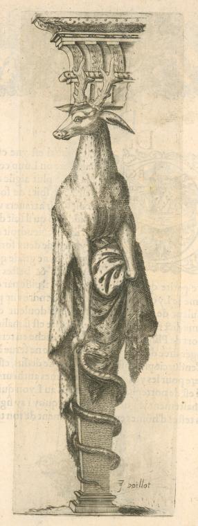 Print illustrating Du cheureul.