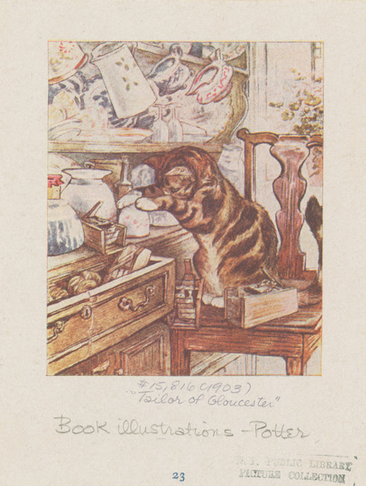 Simpkin kept house by himself.