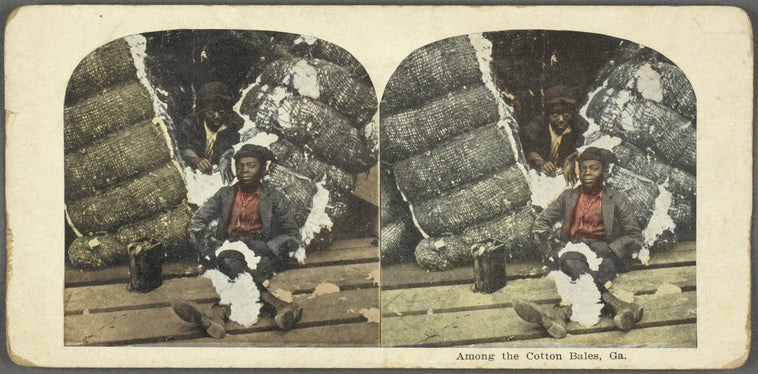 Among the Cotton Bales, Ga