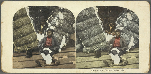 Among the Cotton Bales, Ga