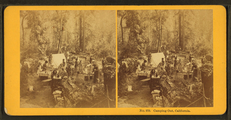Camping Out. California. [no. 970]