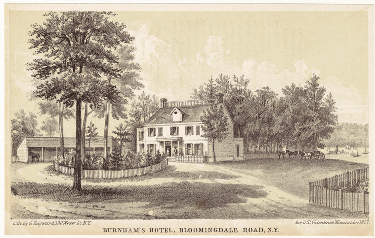 Burnham's Hotel, Bloomingdale Road, N.Y