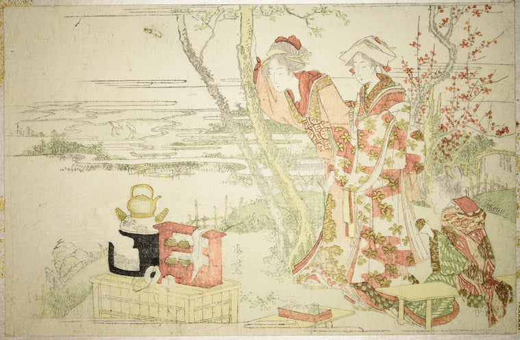 Ladies at a picnic