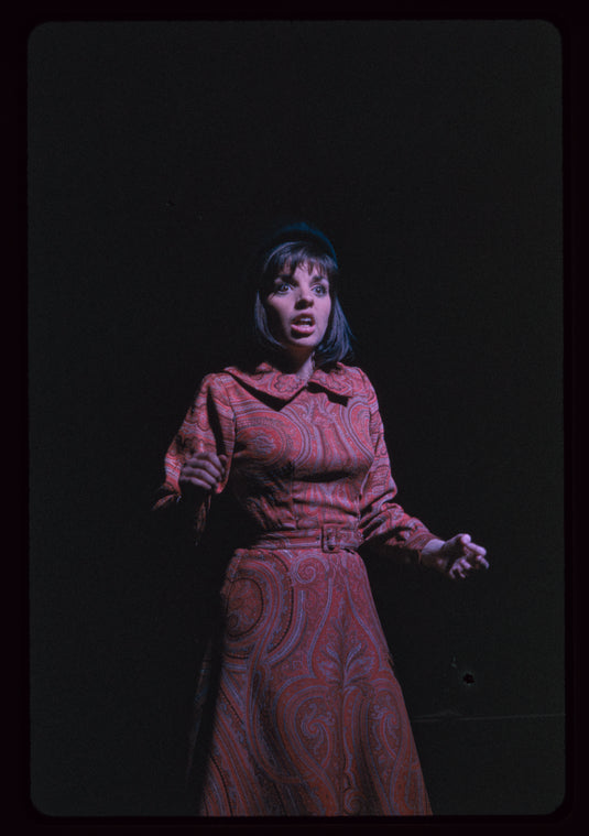 Flora, the Red Menace, original Broadway production