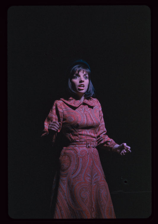 Flora, the Red Menace, original Broadway production