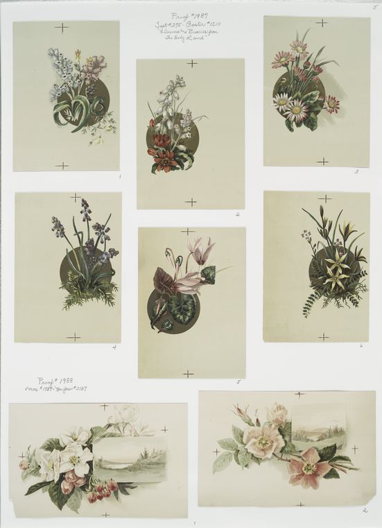 Flowers and Berries from the Holy Land; Christmas cards depicting flowers and landscapes.