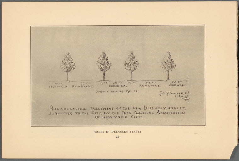 Trees in Delancey Street