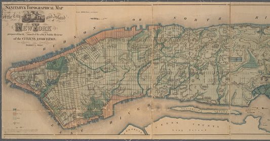Sanitary & topographical map of the city and island of New York: prepared for the Council of Hygiene & Public Health of the Citizens' Association