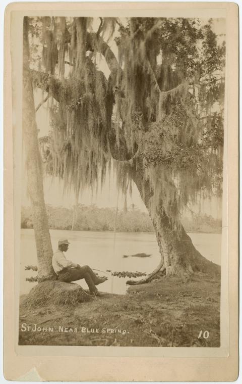 St. John near Blue Spring