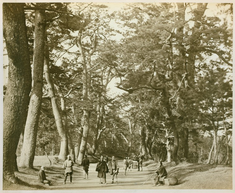 View of the Tokaido