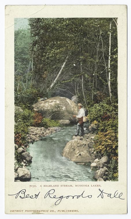 A Highland Stream, Muskoka Lakes, Ont.